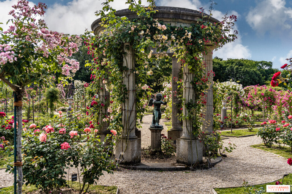 reserver vtc Val-de-Marne
