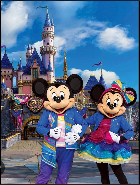 reserver vtc disneyland